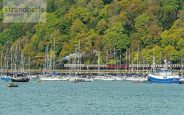 Dampfzug und Boote über den Fluss Dart  Kingswear von Dartmouth  Devon  England  Großbritannien  Europa