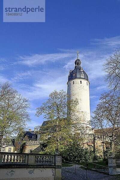 Innenhof  mit Hausmannsturm  Schloss Altenburg  Altenburg  Thüringen  Deutschland  Europa