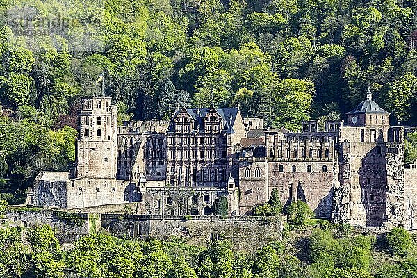 Das Schloss Heidelberg zählt zu den meistbesuchten touristischen Sehenswürdigkeiten Europas  Heidelberg  Baden-Württemberg  Deutschland  Europa