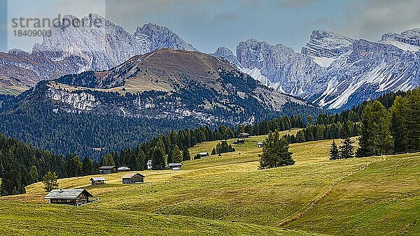 Herbstliche Almwiesen und Almhütten auf der Seiser Alm  hinten die schneebedeckten Gipfel der Geisler- und Puez-Gruppe  Grödnertal  Dolomiten  Südtirol  Italien  Europa