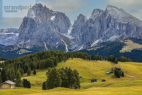 Herbstliche Almwiesen und Almhütten auf der Seiser Alm  hinten die schneebedeckten Gipfel der Langkofelgruppe  Grödnertal  Dolomiten  Südtirol  Italien  Europa