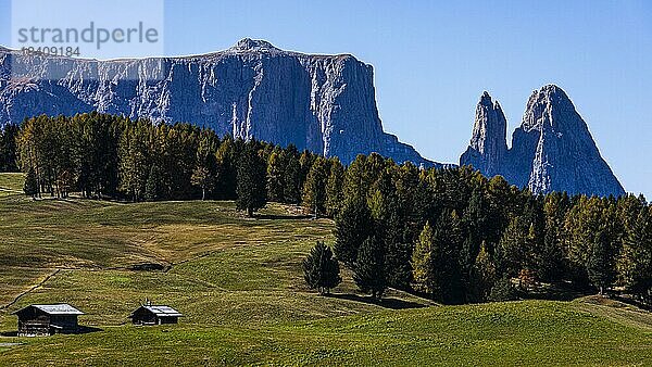 Herbstliche Almwiesen und Almhütten auf der Seiser Alm  hinten die Gipfel des Schlern  Grödnertal  Dolomiten  Südtirol  Italien  Europa