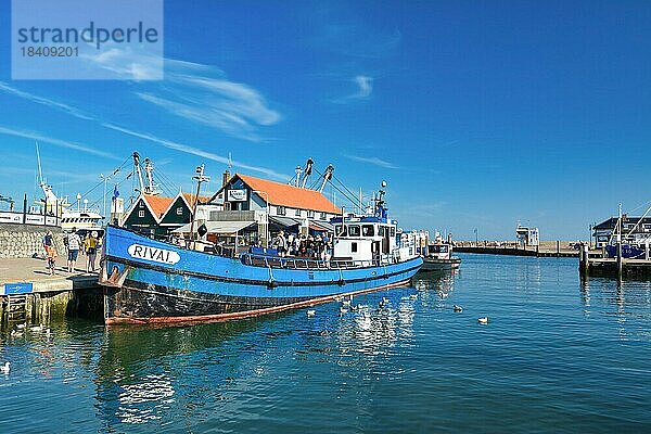 Blaues Boot namens Rival liegt im Hafen von Oudeschild vor Anker  an Bord sind Menschen  die Touristen auf der Insel Texel Sportfischtouren anbieten  Oudeschild  Texel  Nord Niederlande