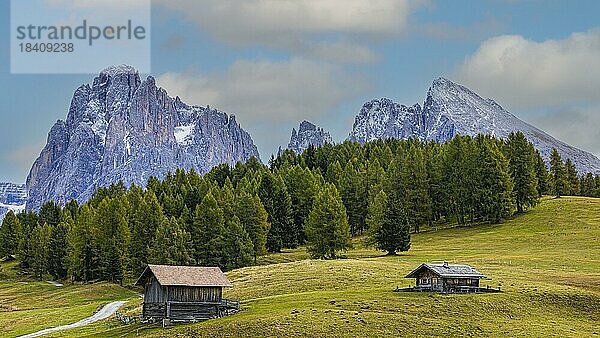 Herbstliche Wiesen und Almhütten auf der Seiser Alm  hinten die schneebedeckten Gipfel der Langkofelgruppe  Grödnertal  Grödnertal  Dolomiten  Südtirol  Italien  Europa