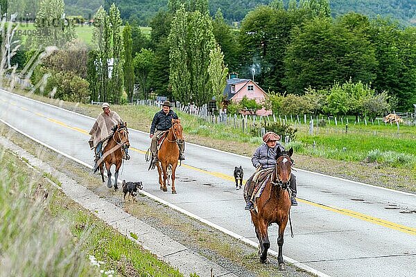 Drei Gauchos reiten auf Pferden  begleitet von Hunden  auf einer Straße in Villa Cerro Castillo  Cerro Castillo-Nationalpark  Aysen  Patagonien  Chile  Südamerika
