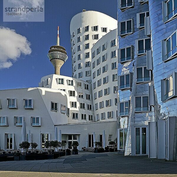 Der Neue Zollhof mit zwei Gehry Bauten und dem Rheinturm  Düsseldorf  Nordrhein-Westfalen  Deutschland  Europa