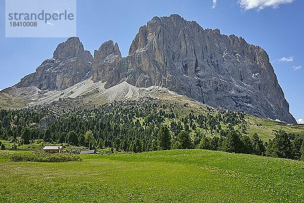 Langkofel  Sellajoch  Südtirol  Italien  Europa