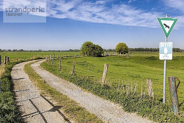 Naturschutzgebiet bei Rees am Niederrhein  Feldweg  Weide  Koppel  Weidezäune  Wiese  Rees  Nordrhein-Westfalen  Nordrhein-Westfalen  Deutschland  Europa