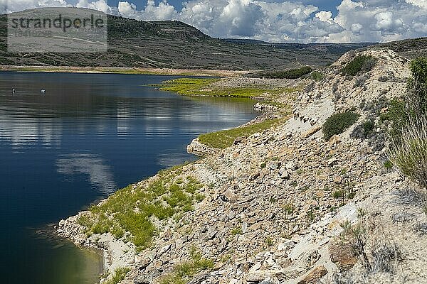 Gunnison  Colorado  Die Dürre  die den amerikanischen Westen heimsucht  hat den Wasserstand des Blue Mesa Reservoirs in der Curecanti National Recreation Area drastisch sinken lassen  da Wasser abgelassen wird  um den Pegel des Lake Powell zu halten. Bei vollem Wasserstand wäre der größte Teil des helleren Bodens auf diesem Foto unter Wasser