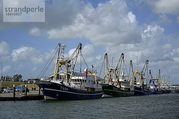 Hafen von Oudeschild  Fischerboote im Hafen  Juni  Insel Texel  Nordsee  Nordholland  Niederlande  Europa