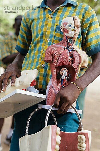 Thema: Schulkinder in Afrika. Model eines Menschen für den Naturkunde Unterricht.  Krokrobite  Ghana  Afrika