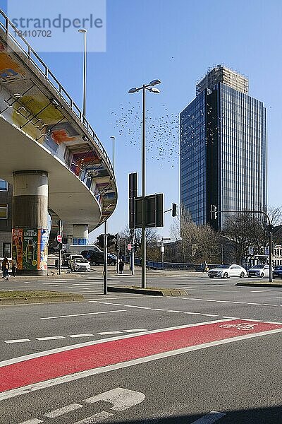 Hochstraße und ein Schwarm Tauben neben modernem Hochhaus  Hagen  Westfalen  Nordrhein-Westfalen  Deutschland  Europa