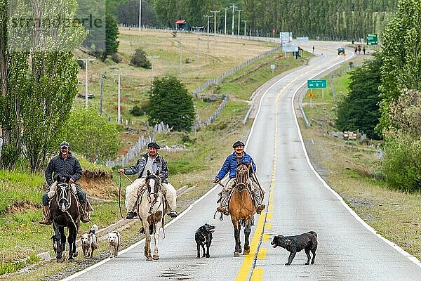 Drei Gauchos reiten auf Pferden  begleitet von Hunden  auf einer Straße in Villa Cerro Castillo  Cerro Castillo-Nationalpark  Aysen  Patagonien  Chile  Südamerika