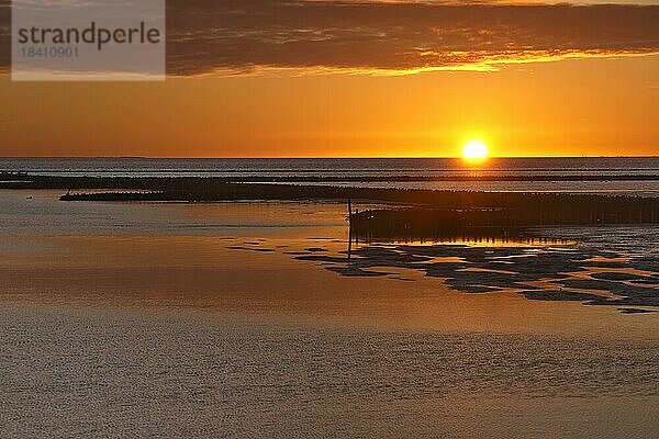 Sonnenuntergang bei Niedrigwasser im Nationalpark Wattenmeer. Buhnen schützen das Watt. Das Wattenmeer vor der nordfriesischen Küste gehört zum UNESCO-Weltnaturerbe. Schöpfwerk Südwesthörn  Emmelsbüll-Horsbüll  Schleswig-Holstein  Deutschland  Europa