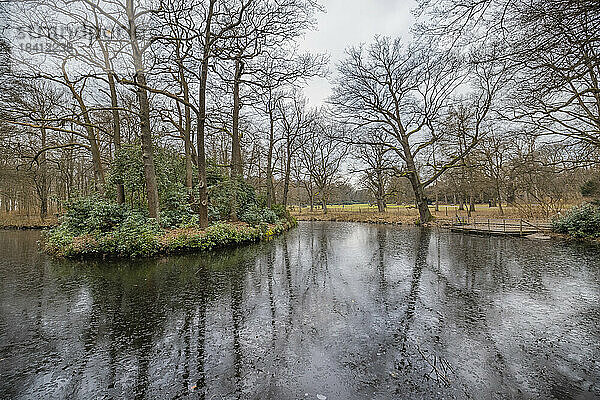 Wintertag im Hamburger Hirschpark. Eine dünne Eisdecke bedeckt den Teich im Vordergrund  die kahlen Äste der Baume spiegeln sich auf der der Fläche