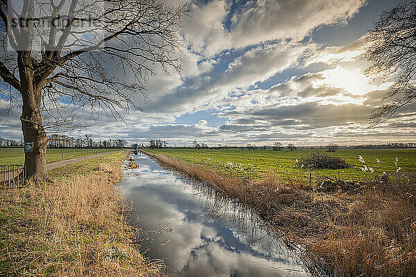 Sonniger Februarnachmittag im Marschland in der Gemeinde Kollmoor im Kreis Steinburg. Der Wolkenhimmel spiegelt sich auf einem breien Wassergraben