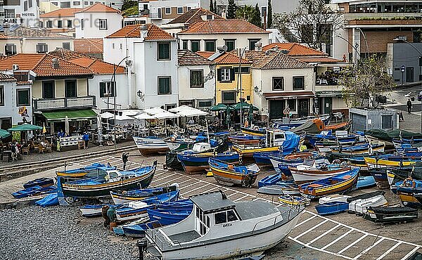 Fischerboote und Hauser  Ort Câmara de Lobos  Madeira  Portugal  Europa