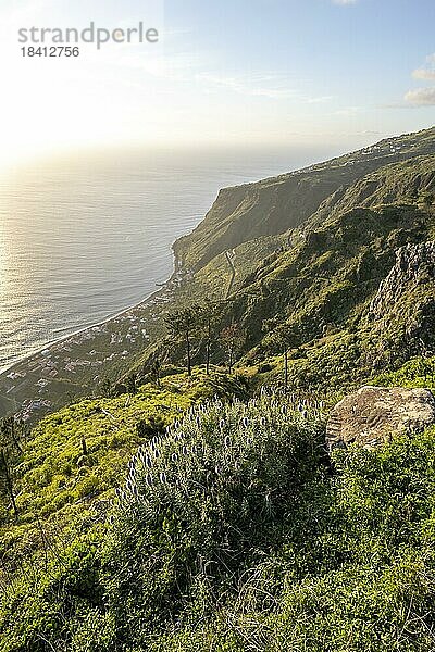 grüne Landschaft vor Meer und Küste  Aussichtspunkt Miradouro da Raposeira  Madeira  Portugal  Europa