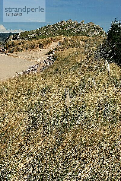 Düne mit Strandhafer