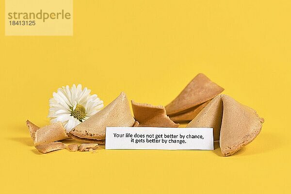 Notiz in Glückskeks Spruch Dein Leben wird nicht durch Zufall besser  es wird besser durch Veränderung auf gelbem Hintergrund mit Blumen. Motivationskonzept