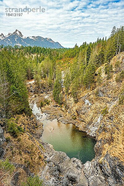 Stuibenfälle im Wald  Reutter  Tirol  Österreich  Europa