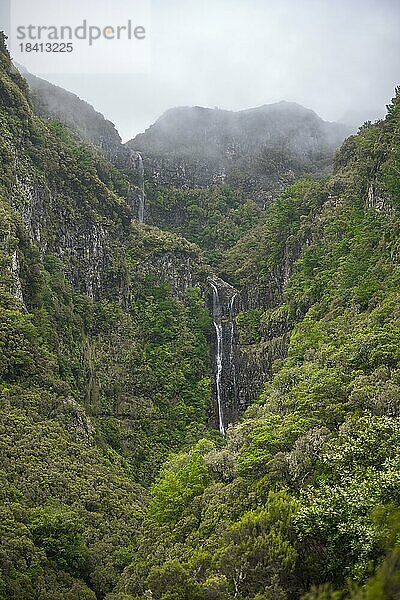 Wasserfall  Grüner Wald und Berge von Rabacal  Paul da Serra  Madeira  Portugal  Europa