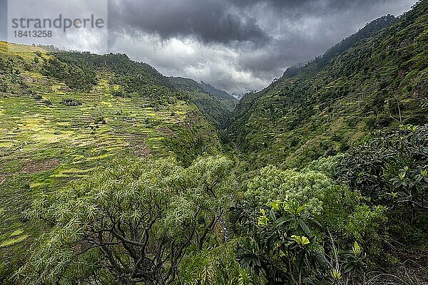 Ausblick in Schlucht  Berge mit Terassenanbau  Levada do Moinho  Ponta do Sol  Madeira  Portugal  Europa