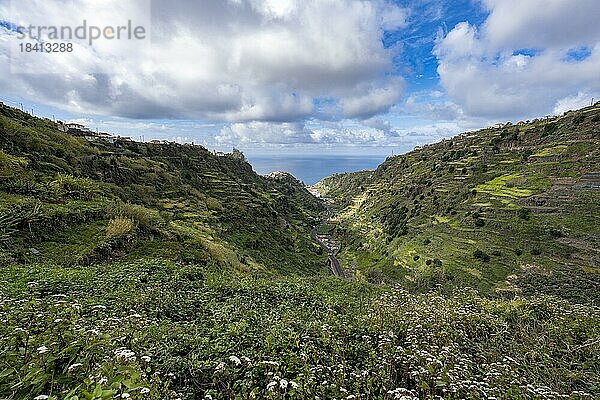 Ausblick in Schlucht  Berge mit Terassenanbau  Levada do Moinho  Ponta do Sol  Madeira  Portugal  Europa