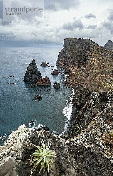 Küstenlandschaft  Steilklippen und Meer  Miradouro da Ponta do Rosto  zerklüftete Küste mit Felsformationen  Kap Ponta de São Lourenço  Madeira  Portugal  Europa