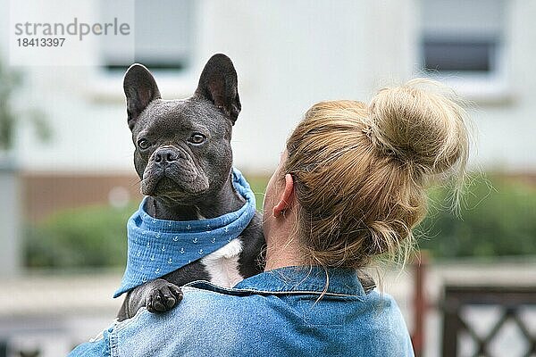 Blonde Frau hält französischen Bulldoggenhund über der Schulter