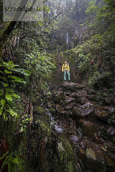 Wanderer steht im Wald vor Wasserfall am Vereda Francisco Achadinha  Rabacal  Madeira  Portugal  Europa