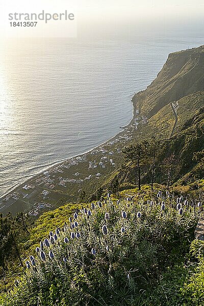 grüne Landschaft vor Meer und Küste  Aussichtspunkt Miradouro da Raposeira  Madeira  Portugal  Europa