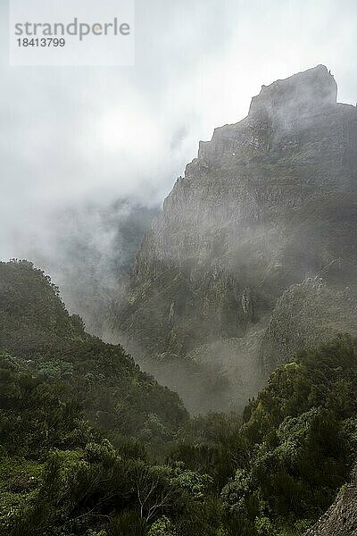Nebel an einer Felsenklippe  Zentralgebirge Madeiras  Madeira  Portugal  Europa