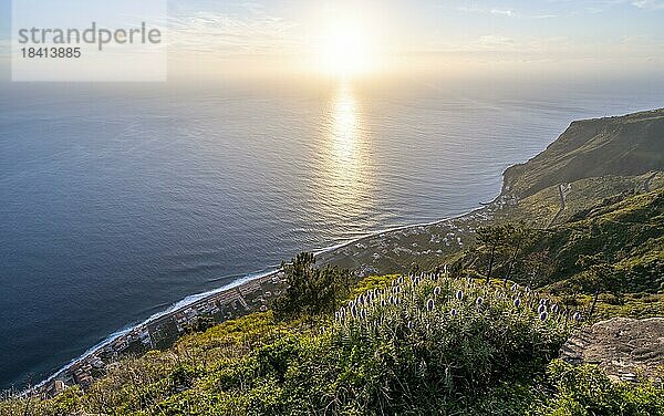 grüne Landschaft vor Meer und Küste  Aussichtspunkt Miradouro da Raposeira  Madeira  Portugal  Europa