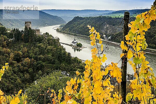 Burg Gutenfels und Burg Pfalzgrafenstein  Kaub  Oberes Mittelrheintal  UNESCO-Weltkulturerbe  Rheinland-Pfalz  Deutschland  Europa