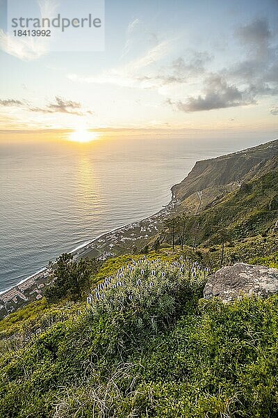 Abendstimmung  grüne Landschaft an Steilklippe  Meer und Küste  Aussichtspunkt Miradouro da Raposeira  Madeira  Portugal  Europa