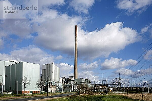 STEAG Kraftwerk Duisburg-Walsum  Steinkohlekraftwerk auf dem Gelände der ehemaligen Zeche Walsum  Duisburg  Nordrhein-Westfalen  Deutschland  Europa