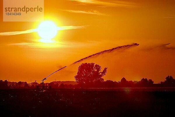Bewässerung der Felder mit einem Kreisregner  Sonnenuntergang  Lichtstimmung  Gegenlicht  Trockenheit  Hitzeperiode  Wassermangel  Dürre  Röckrath  Nordrhein-Westfalen  Deutschland  Europa