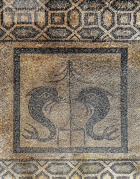 Mosaikboden mit zwei Delphinen aus Kos  Grossmeisterpalast im 14. Jhd. vom Johnniterorden erbaut  Festung und Palast fur den Grossmeister  UNESCO Welterbe  Altstadt  Rhodos-Stadt  Griechenland  Europa