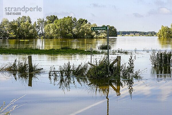Hochwasser nach Starkregen in Nordrhein-Westfalen im Naturschutzgebiet am Grietherorter und Bienener Altrhein  Rees  Nordrhein-Westfalen  Deutschland  Europa