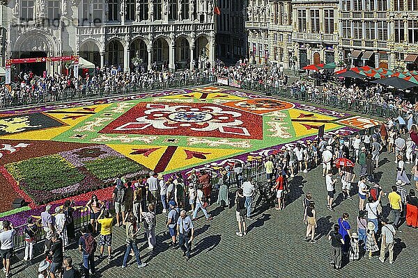 Blumenteppich und Touristen auf dem Grote Markt (Grand Place) vor historischen Zunfthäusern  Brüssel  Belgien  Europa