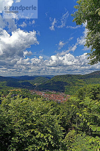 Landschaft  Annweiler