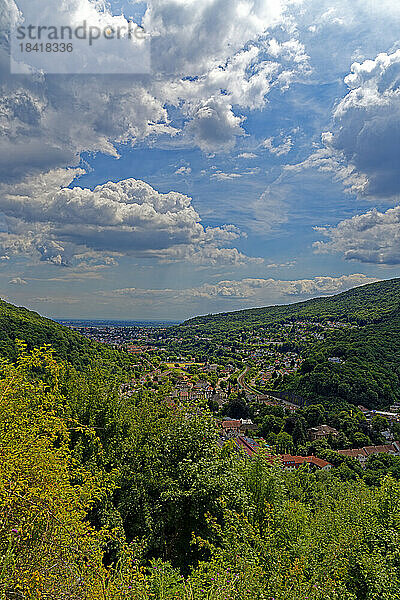 Landschaft  Neustadt an der Weinstraße  Rheinebene