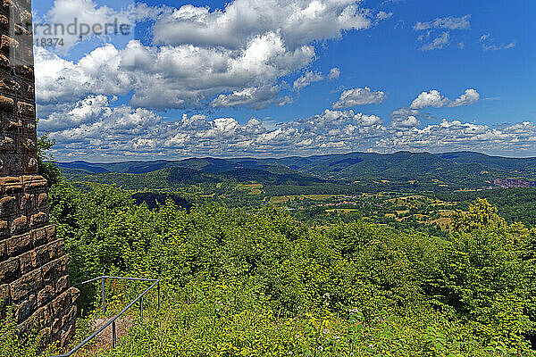 Burg Trifels  Landschaft