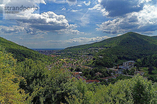 Landschaft  Neustadt an der Weinstraße  Rheinebene