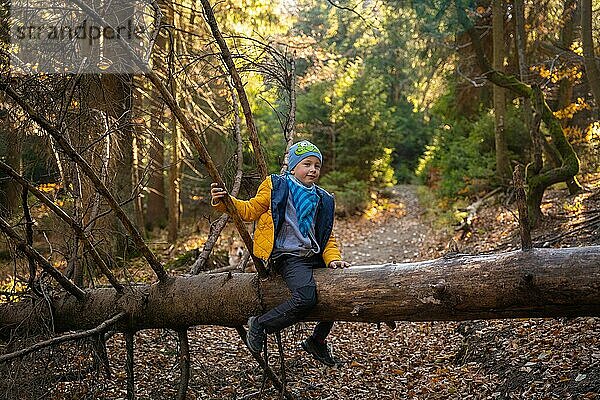 Kleines Kind sitzt auf einem umgestürzten Baum auf einem Bergpfad. Herbstzeit. Polnische Berge  Polen  Europa
