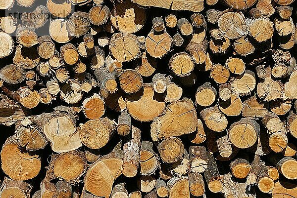 Ein trockener Brennholzstapel