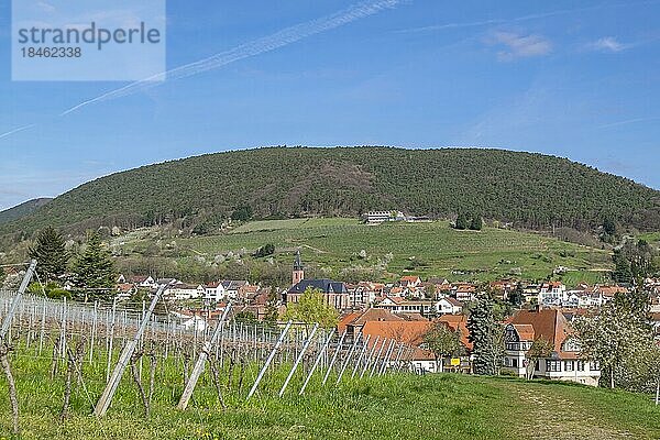 Ortsansicht St. Martin  Deutsche oder Südliche Weinstrasse  Suedpfalz  Pfalz  Rheinland-Pfalz  Deutschland  Europa