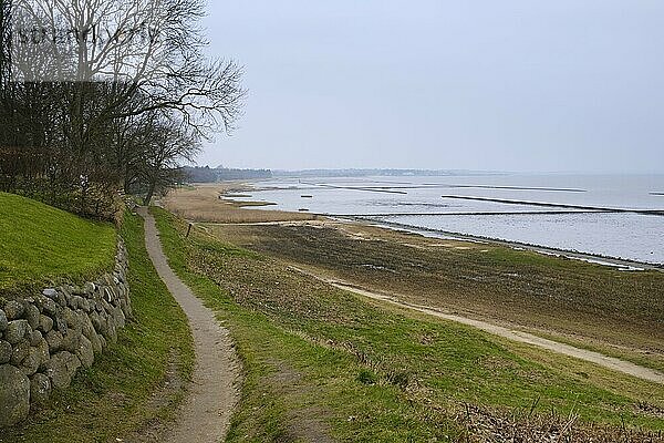 Nationalpark Wattenmeer bei Keitum  Sylt  Nordfriesische Insel  Nordfriesland  Nordsee  Schleswig-Holstein  Deutschland  Europa