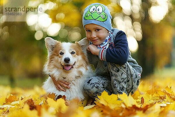Freunde  Baby und Hund sitzen zusammen in schönen goldenen Blättern. Herbst im Park. Ein siebenjähriger Junge  Polen  Europa